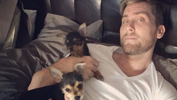 Lance Bass Rests Up Post-Surgery With Some Adorable Puppy 'Nurses'