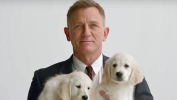 Daniel Craig Cuddles With Adorable Puppies in New Promo for Charity Campaign -- Watch!