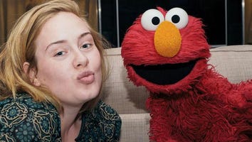 Adele Poses With Elmo in Makeup Free Selfie