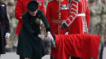 Kate Middleton Greets the Irish Wolfhound at St. Patrick's Day Parade With Prince William: Pics!