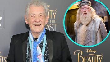 Ian McKellen Explains Why He Turned Down the Chance to Play Dumbledore in 'Harry Potter' Franchise