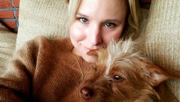 Kristen Bell Cuddles With Adorable Foster Dog, Calls Her 'Captain of the Scaredy Cats' -- See the Pic!