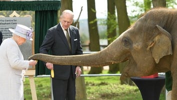 Queen Elizabeth Makes Friends With Elephant Named After Her During Zoo Visit -- See the Pics!
