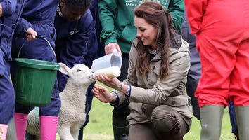 Kate Middleton Is Adorably In Her Element on a Farm and Feeding Lambs -- See the Pics!