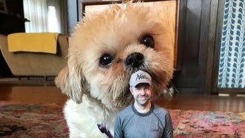 Olivia Wilde Introduces Her Adorable New Love, 'Heartbreaker' Pup Elvis -- See the Pics!