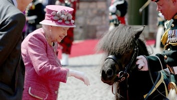 Queen Elizabeth Adorably Reprimands a Pony Who Tried to Eat Her Flowers -- Watch!