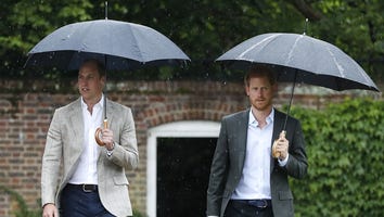 Princes William and Harry, Kate Middleton Visit Gardens Dedicated to Late Princess Diana