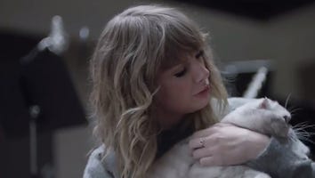 Taylor Swift Gets Into a Fight With Andy Samberg, Reveals Hilarious Nicknames for Her Cat Olivia in New Videos