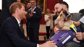 Prince Harry Respectfully Shakes Hands With a Service Dog While Celebrating World Mental Health Day