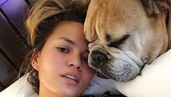 Chrissy Teigen's Dog Puddy Is Back Home After She Told Her Friends He Was 'Dying': 'I'm So Happy!'