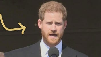 Watch Meghan Markle Giggle as Prince Harry Is Attacked by a Bee at First Official Engagement