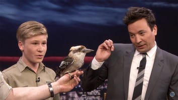 Jimmy Fallon and Robert Irwin Mimic Cardi B to Speak to a Kookaburra Bird