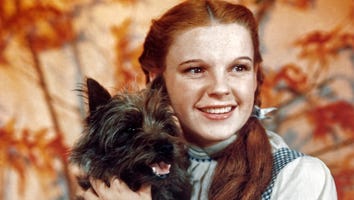 Stolen 'Wizard of Oz' Ruby Slippers Found After 13 Years