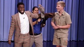 Robert Irwin Brings Exotic Animals to 'Fallon' and Kevin Hart Could Not Be More Scared -- Watch!