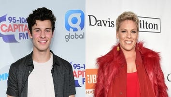 Shawn Mendes, Pink and More to Perform at 2019 MusiCares Person of the Year Tribute Concert