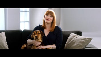 'A Dog's Way Home': How a Rescue Became the Star of the Movie! (Exclusive)