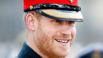 Prince Harry Pets Puppies in Full Uniform -- See All the Other Times He's Played With Dogs