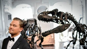 Leonardo DiCaprio Ordered to Hand Over Oscar