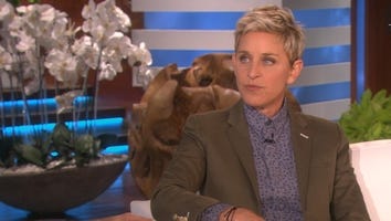 Why Ellen DeGeneres Is Considering Ending Her Talk Show