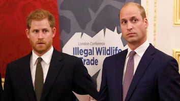 Why Tension 'Still Exists' Between Prince William and Prince Harry (Source)