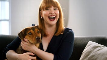 'A Dog's Way Home' Star Bryce Dallas Howard on How They Found the Sweet Leading Pup!
