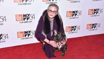 Carrie Fisher’s Dog Gary Retires to Florida Two Years After Her Death
