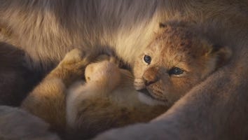 'The Lion King': New Live-Action Trailer Shows Off 'Circle of Life'