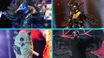 'The Masked Singer': The Raven Is Finally Revealed -- Find Out What Beloved TV Icon Was Behind the Mask!