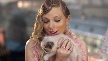 Taylor Swift Snuggles Up to Kitten Benjamin Button in Precious New Pic