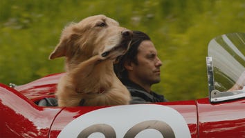'The Art of Racing in the Rain' Trailer: Milo Ventimiglia and Amanda Seyfried's New Romantic Drama