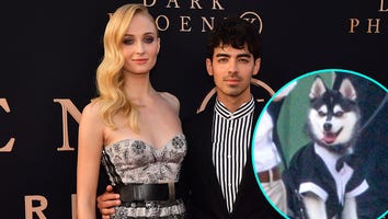 All the Epic Photos From Sophie Turner and Joe Jonas' Wedding: Joe's Tuxedo Dog, Priyanka's Photoshoot & More!