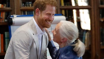 Watch Prince Harry's Adorable Impromptu Dance With Dr. Jane Goodall