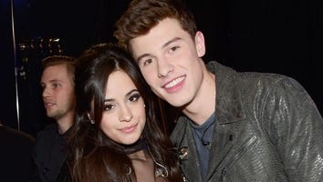 Camila Cabello and Shawn Mendes Have 'Really Fallen' for Each Other, Source Says