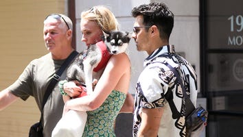 Sophie Turner Holds Dog Porky While Out With Joe Jonas Days After Dog Waldo Dies