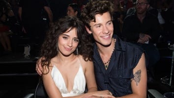 Camila Cabello and Shawn Mendes Split: A Look Back at Their Relationship