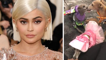 Kylie Jenner Dressed Her Dogs Up as ‘Toy Story’ Characters