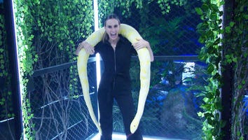 Inside ‘Britney Spears: The Zone’ Immersive Fan Museum (Exclusive)