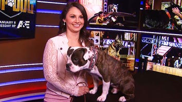 Inside the Ruff Competition of ‘America’s Top Dog’ (Exclusive)