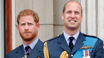 Prince Harry and Prince William Release Joint Statement Amid Drama