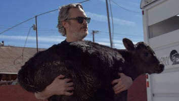 Joaquin Phoenix Rescues a Cow and Her Calf From Slaughterhouse Following Oscars Speech