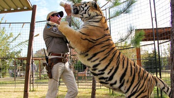 'Tiger King' Bill Passed by House That Would Ban Big Cat Ownership