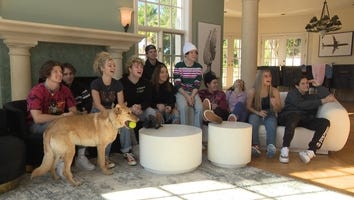 17 Questions With the Members of the TikTok Hype House (Exclusive)