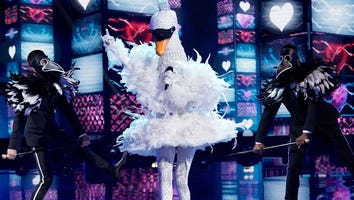'The Masked Singer': The Swan Takes a Dive in Week 8 -- See Which Star Was Under the Mask!