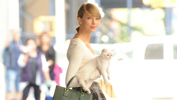 Taylor Swift’s Cat Olivia Benson Pretty Much Sums Up Everyone’s Quarantine Mood: Pic