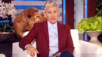 Inside the Future of 'The Ellen DeGeneres Show' Amid Workplace Investigation