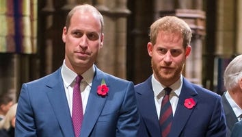 How Prince Harry and Prince William Were on the Brink of Mending Their Relationship (Exclusive)
