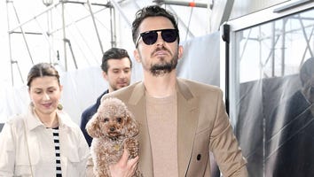 Orlando Bloom and Katy Perry's Dog Mighty Is Missing