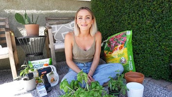 How to Transform Your Outdoor Space on the Cheap! DIY Design and Gardening Tips