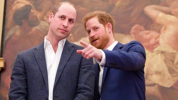 Prince Harry and Prince William Announce Meaningful Debut Date for Commissioned Princess Diana Statue