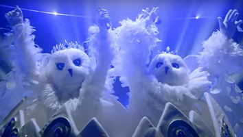 'The Masked Singer' Season 4 to Feature First Celebrity Pair: Meet the Snow Owls